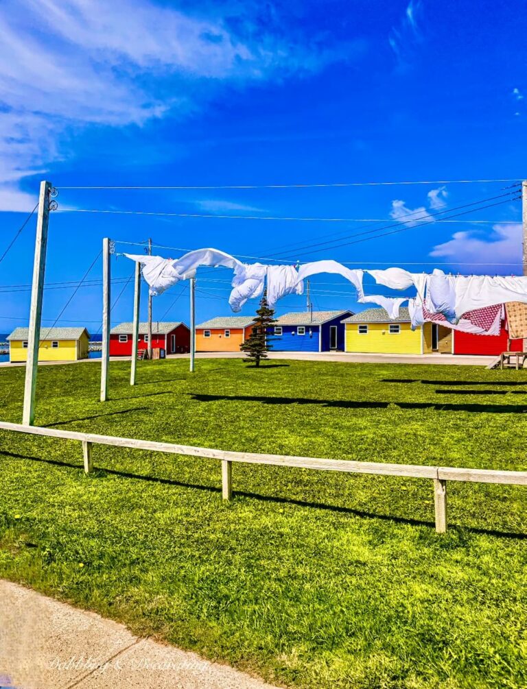 Colorful cottage in Newfoundland in the spring with white sheets on clothesline blowing in the wind.