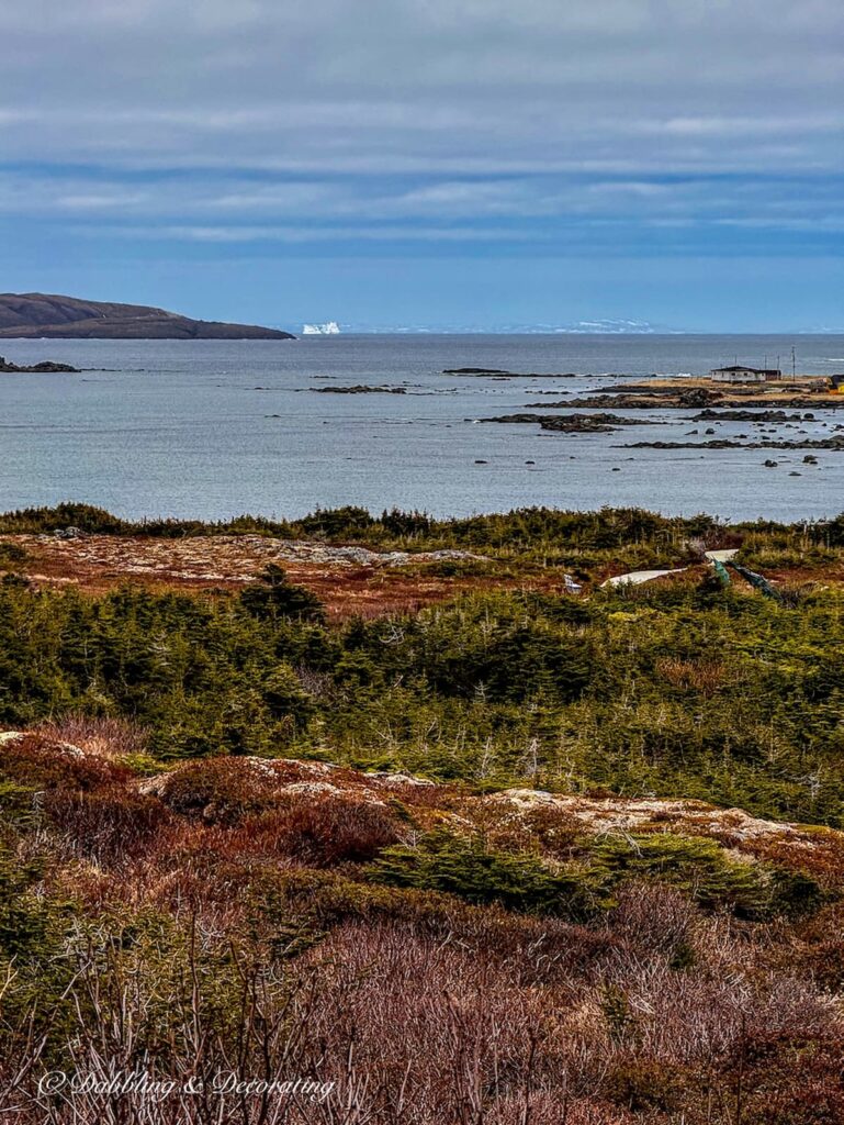 The view of the ocean at Norstead on the tip of Newfoundland where the Viking settled.