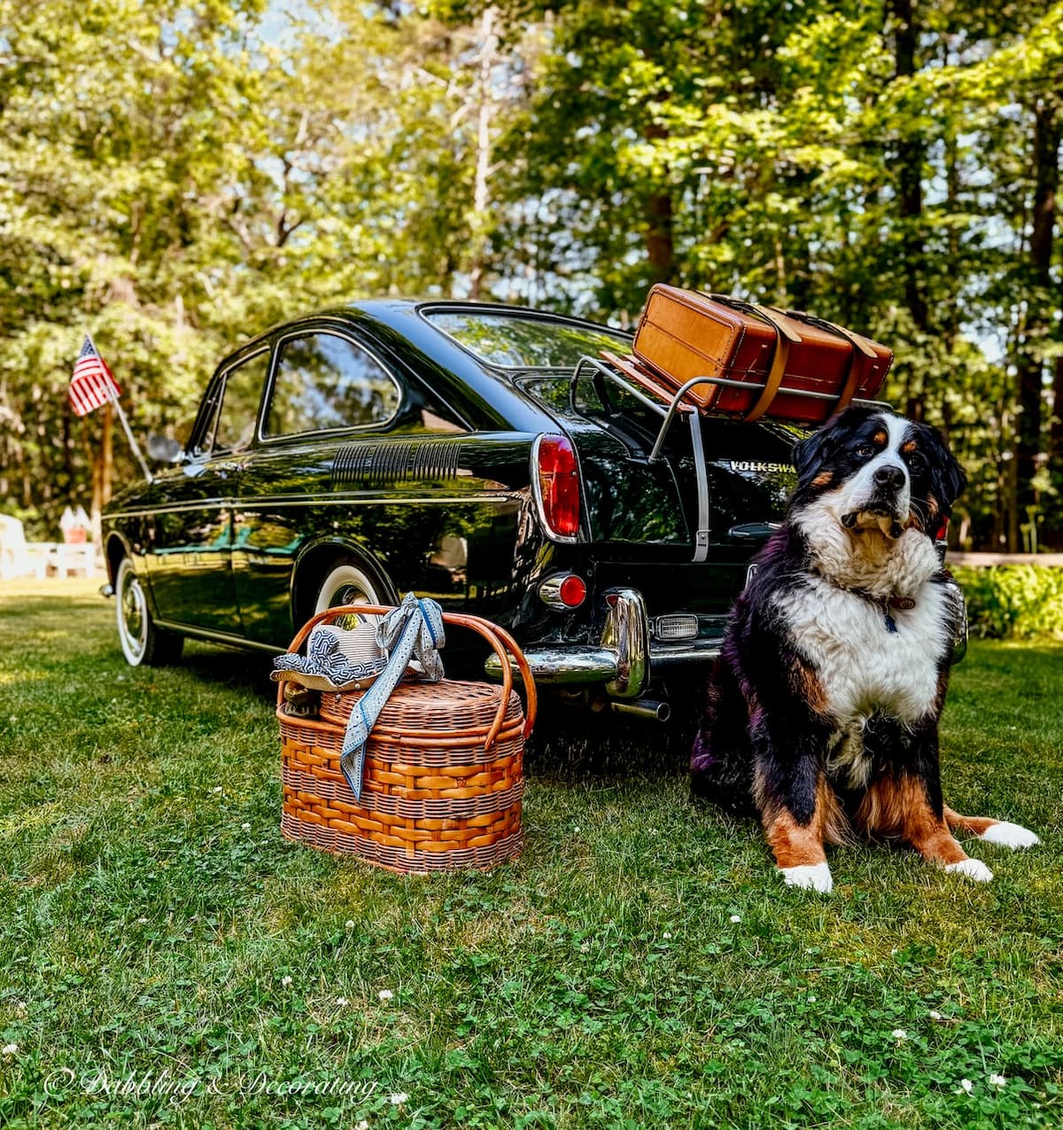 Bernese Mountain Dog in front of vintage car styled for fourth of July in backyard.