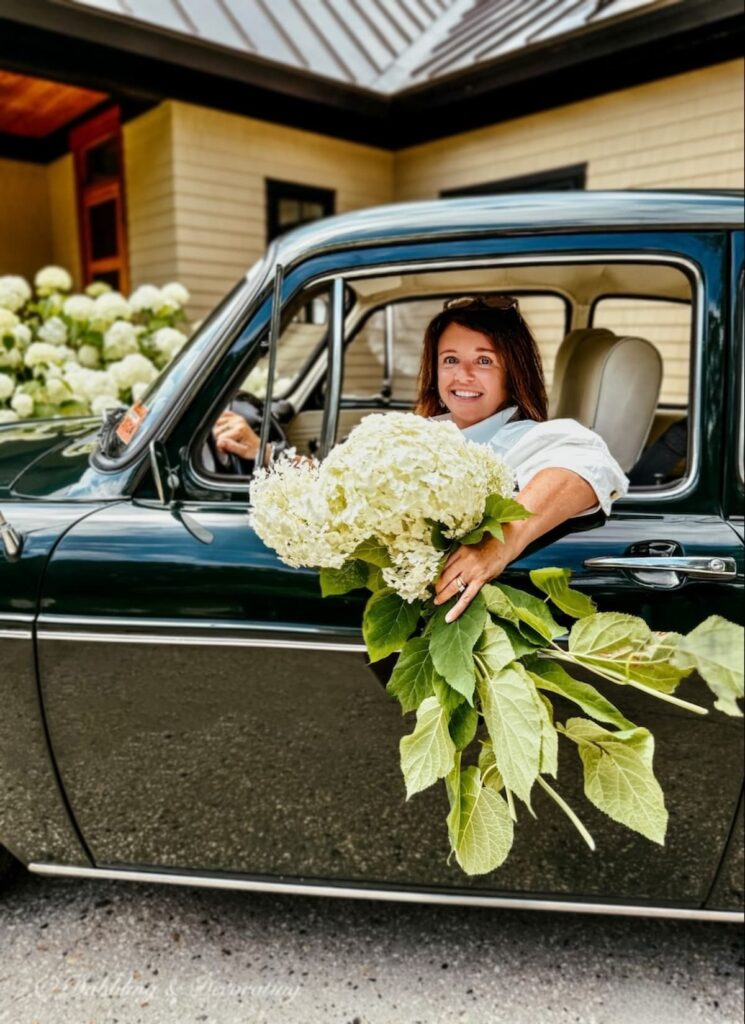 Ann, New England vintage home decor blogger with white hydrangeas in hand freshly cut out the window of her vintage VW Fastback in summer in Maine.