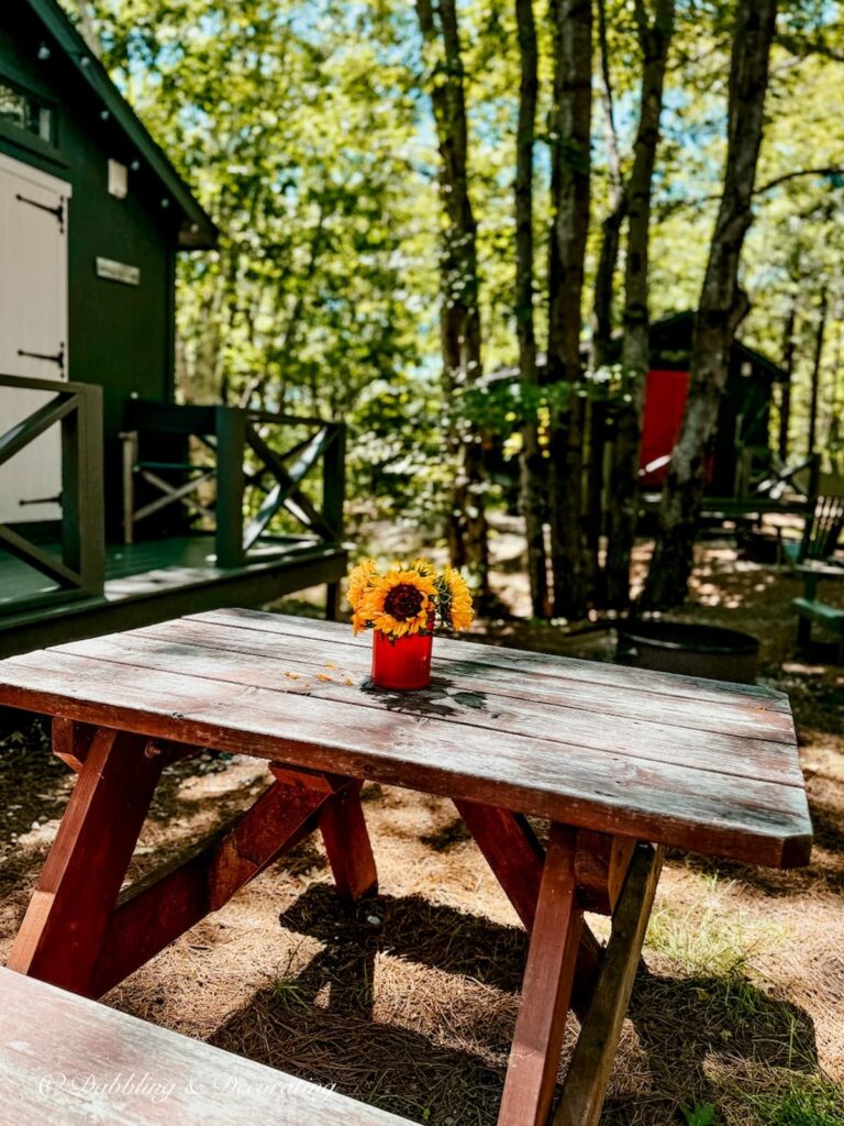 Red can of sunflowers on picnic table next to Sandy Pines Cabins in Kennebunk, Maine.