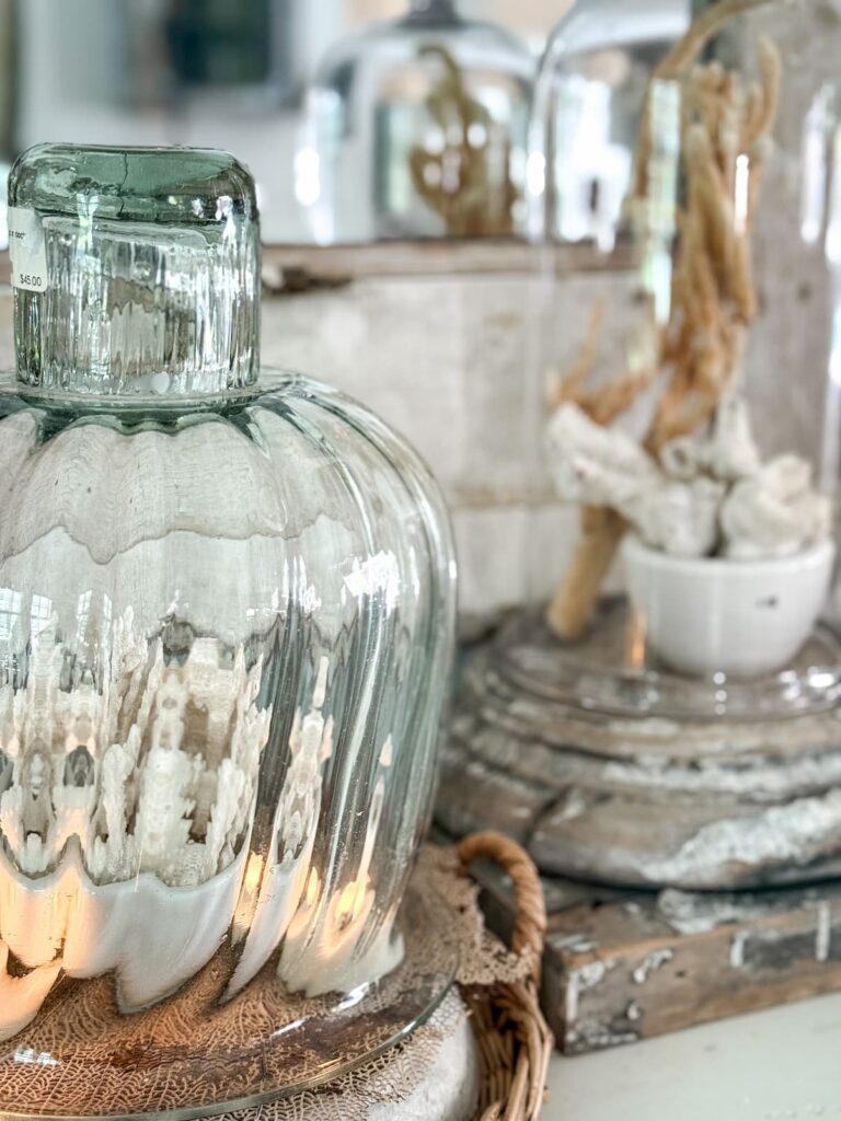 Neutral vintage coastal decor ideas using glass cloches.