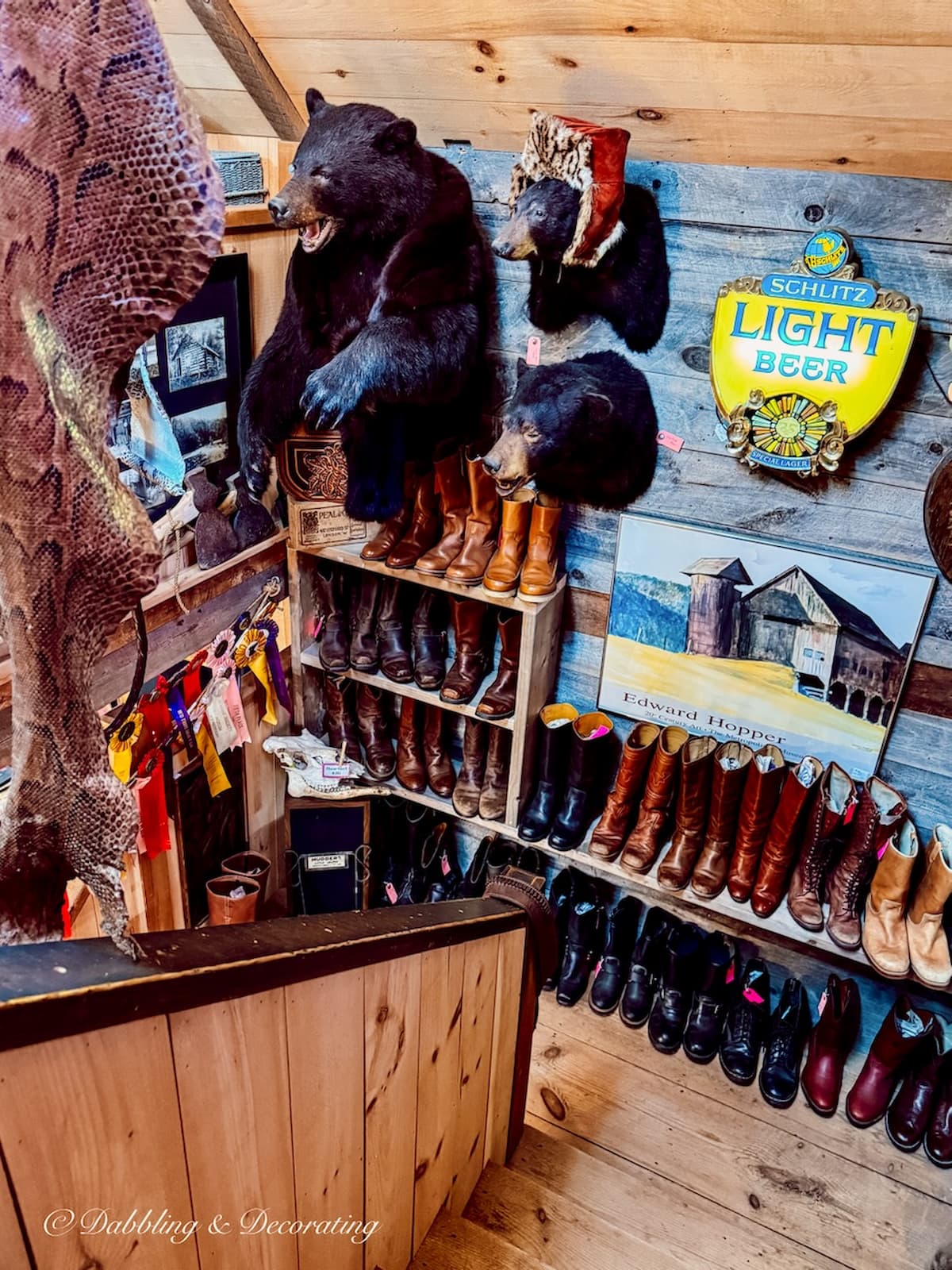 Vintage leather boots beneath taxidermy bears at Trading Company in New Hampshire.