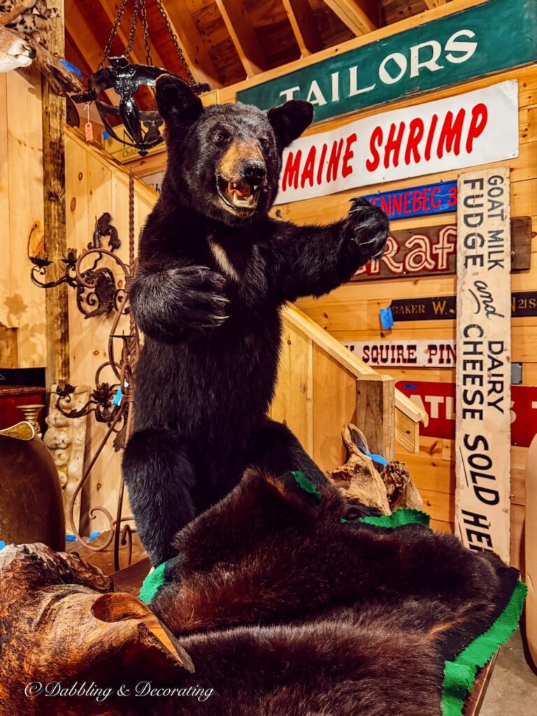 Bear taxidermy at the RS Bugler's Trading Company.