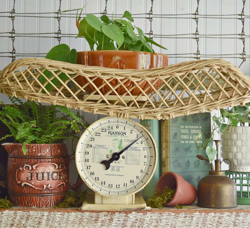 Vintage farmhouse scale in kitchen with plants.
