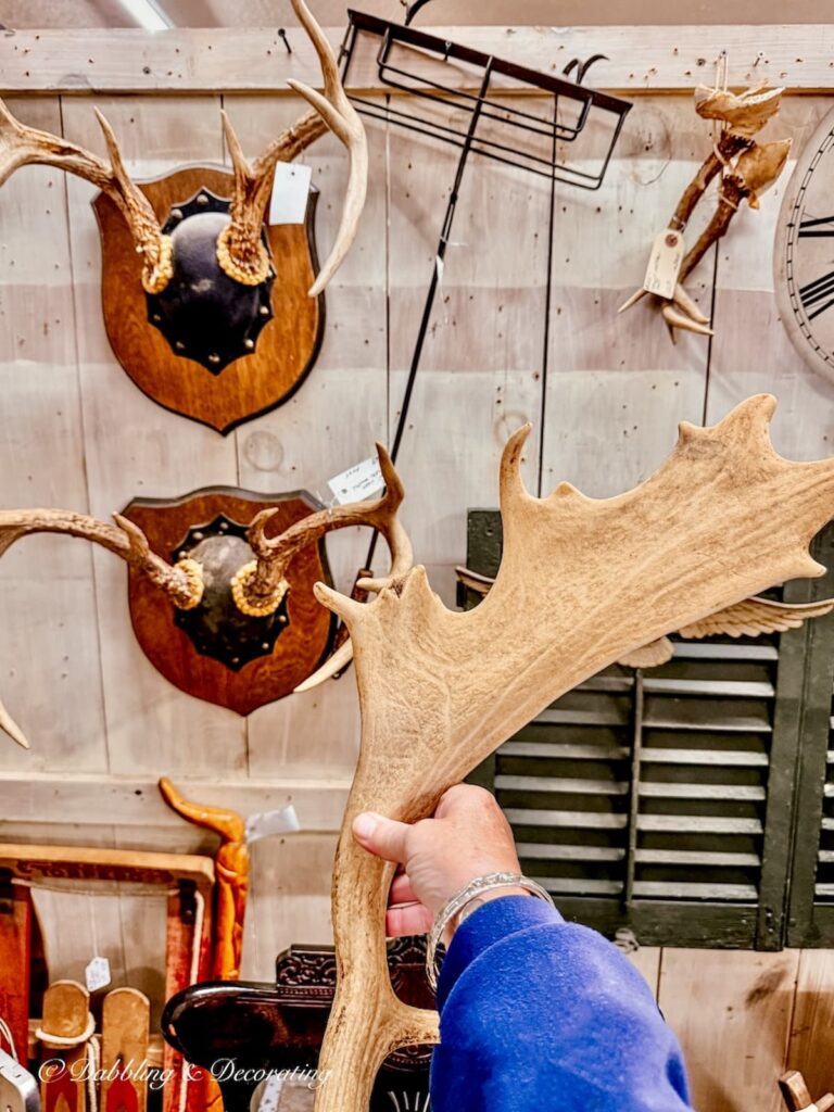 Different antler displays in antique booth for Thanksgiving vintage decor ideas.