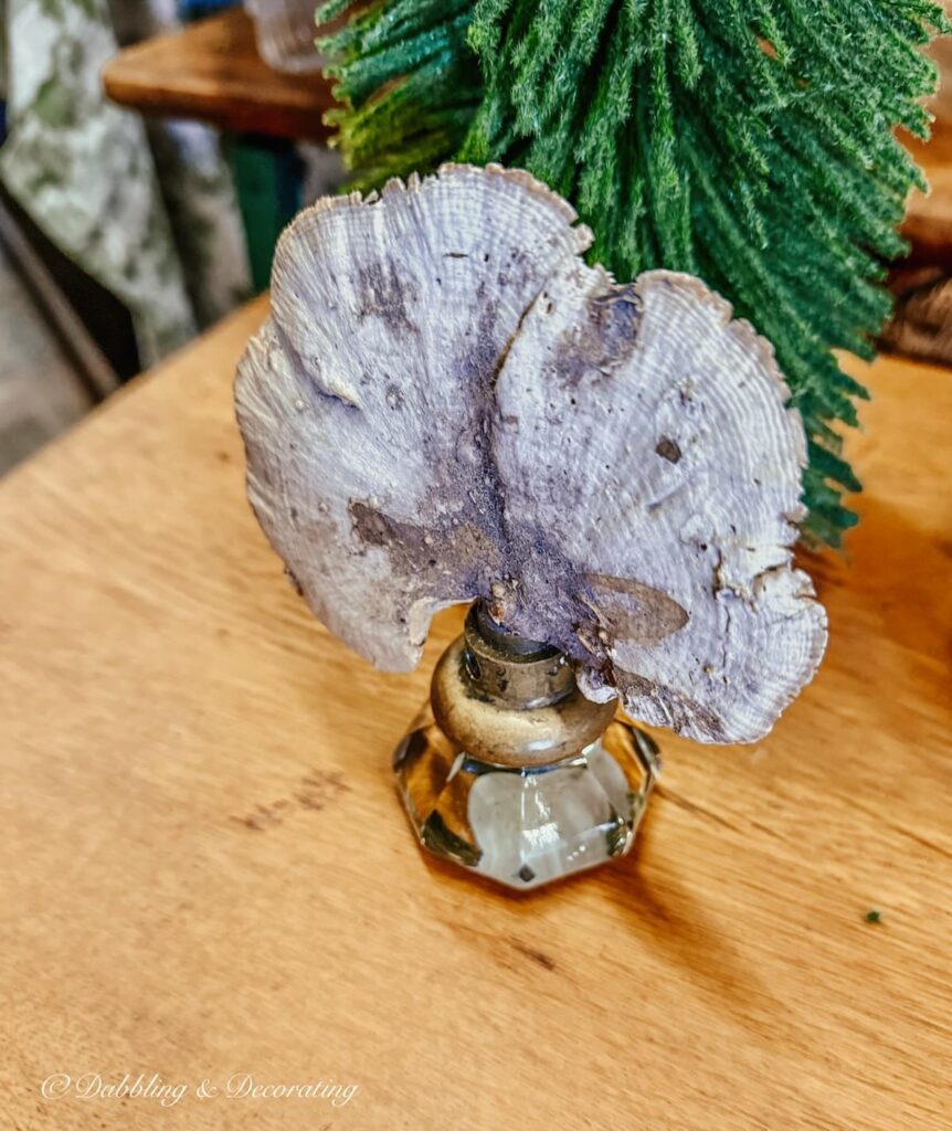Dried mushroom displayed in old doorknob for vintage holiday decor ideas.