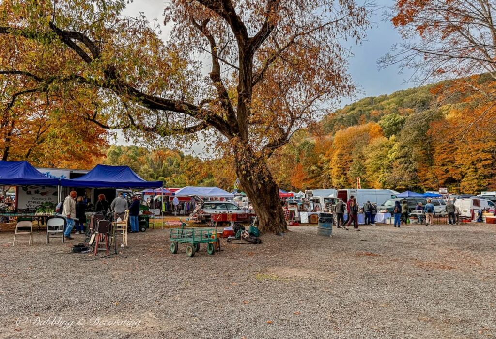 The Elephant’s Trunk Flea Market just inside the opening gates.