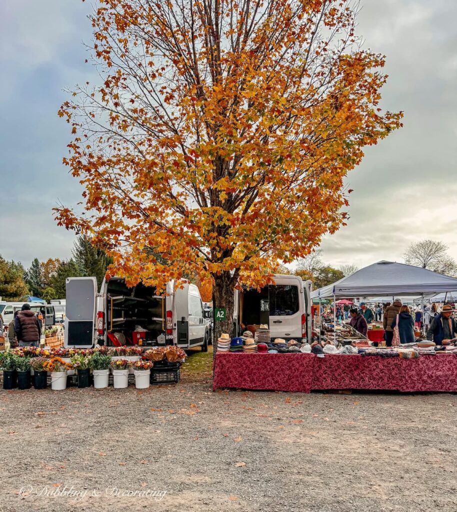 Large orange maple tree during fall foliage at Elephant's Trunk Flea Market along with vendors in a row.