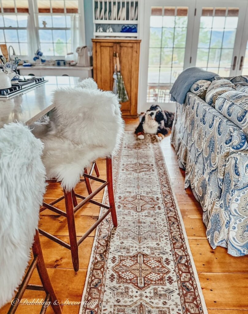 Kitchen island shaker stools with sheepskin decor ideas draped over them next to cozy open living room with vintage brown rug runner and Bernese Mountain Dog.
