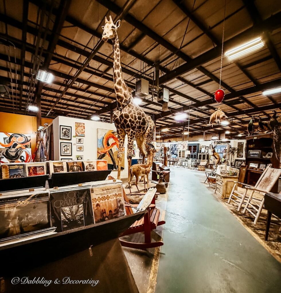 A taxidermy (I believe to be) life size giraffe at The Antique Warehouse Hudson, NY.