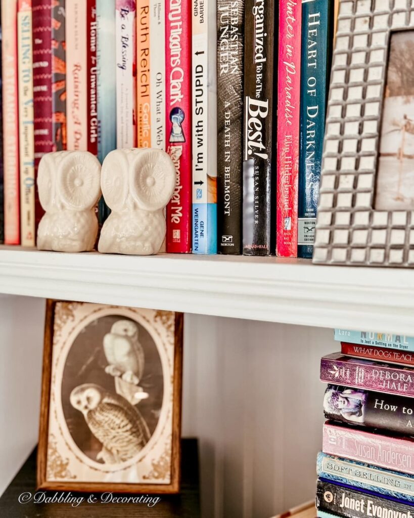 Two small white porcelain owl salt and pepper shakes on bookshelf found antiquing in Scranton, PA.