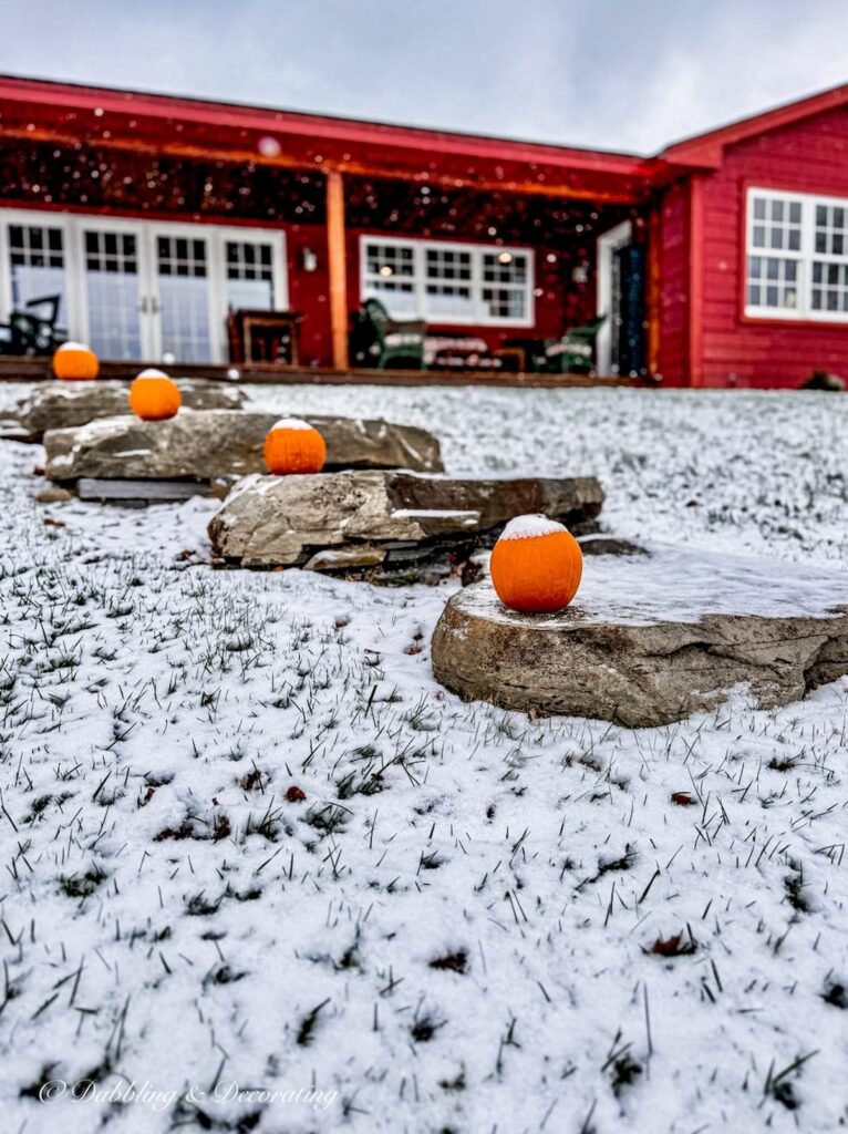 Stone steps leading up the hill to a red house in Vermont with pumpkins and a light snow.
