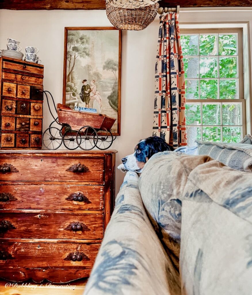 Vintage dresser decorating ideas in living room with antique wooden dresser behind a sectional with dog peaking over couch.