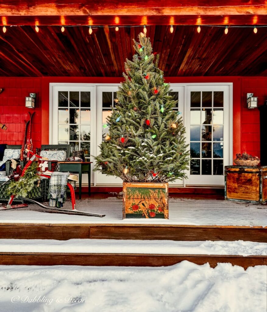 Retro-inspired real evergreen Christmas tree with colored retro lights in vintage crate on snowy Vermont home porch for the holidays.