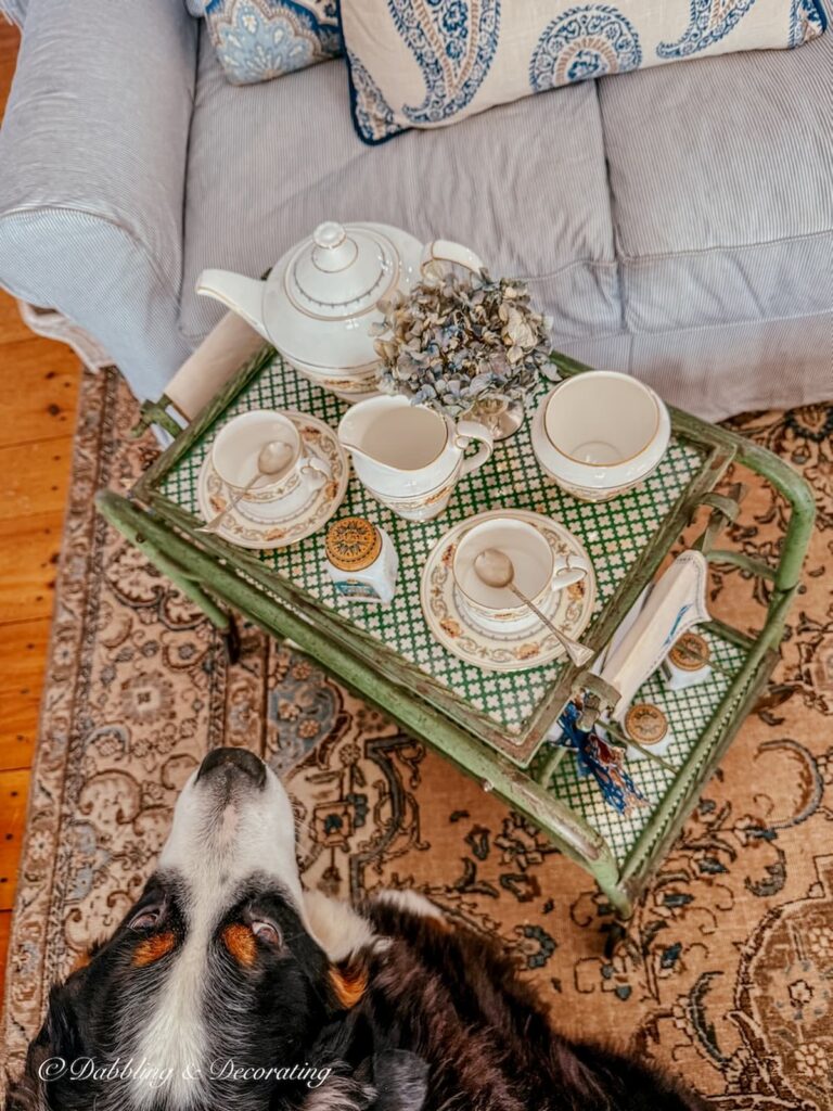Bernese Mountain Dog looking onto tea cart with Aynsley's Banquet tea set all vintage inspired in living room.