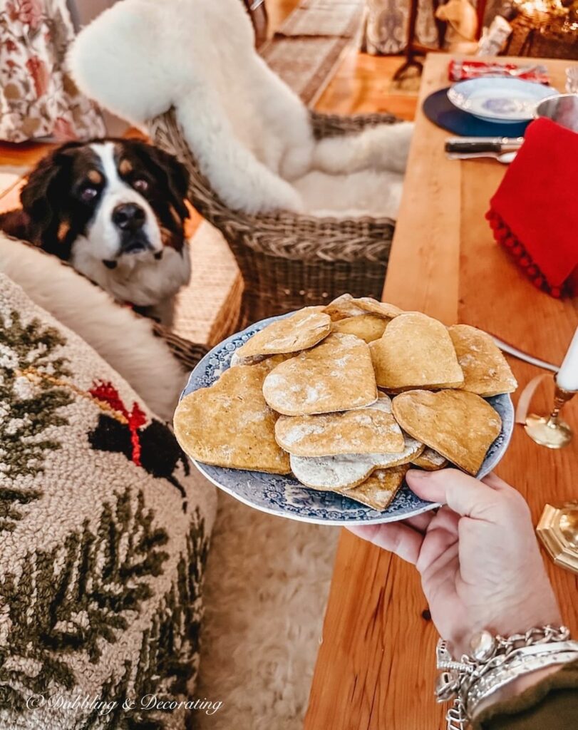 Life with a large dog, a Bernese Mountain Dog peeking up to a plate full of homemade heart shaped pumpkin dog treats in hand.