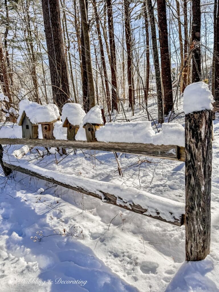 Handmade wooden birdhouses lined up on a split rail weathered fence after a snow storm in Maine.