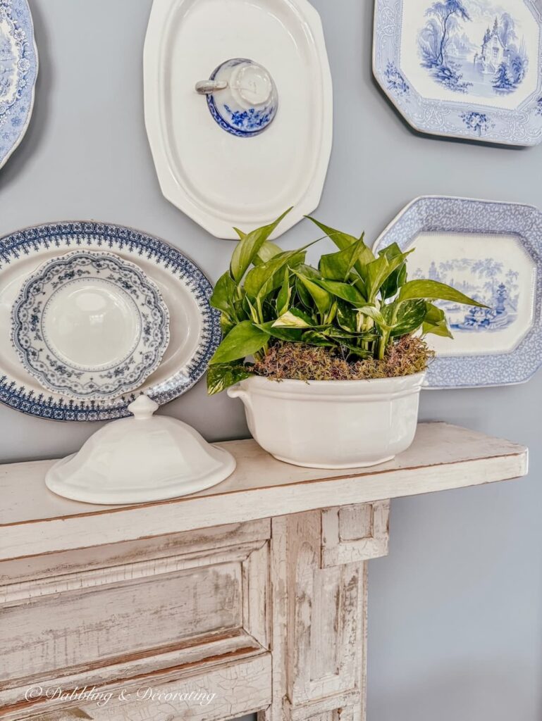 Thrifted soup tureen planter ideas with green supermarket plants and moss on vintage mantel with blue and white wall plates.