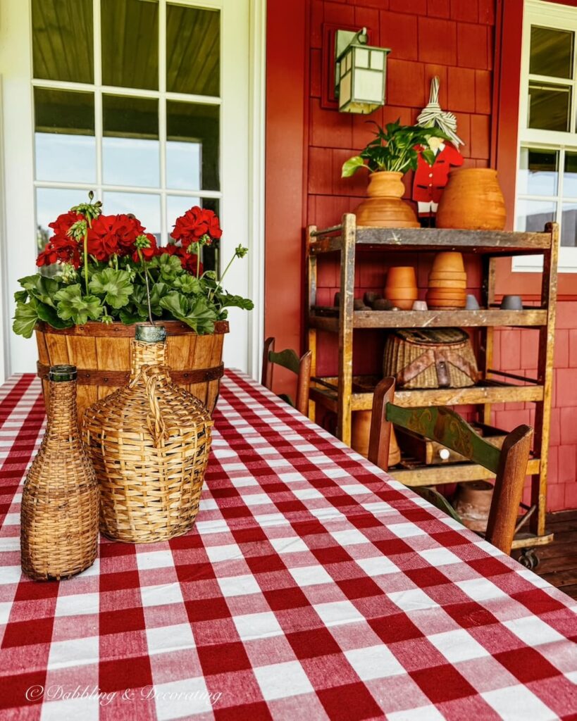 Vintage Demijohns gathered on red and white gingham porch table cloth with red geraniums and a vintage cobbler rack filled with terracotta pots in spring.