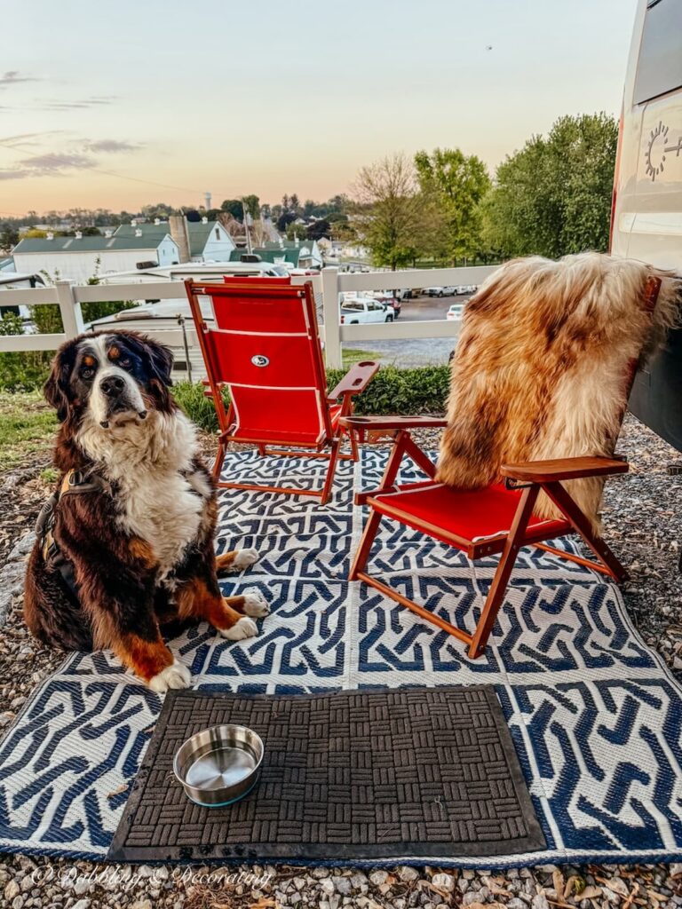 Two red camping chairs with a foxy icelandic sheepskin and a Bernese Mountain Dog next to an RV in Amish country.