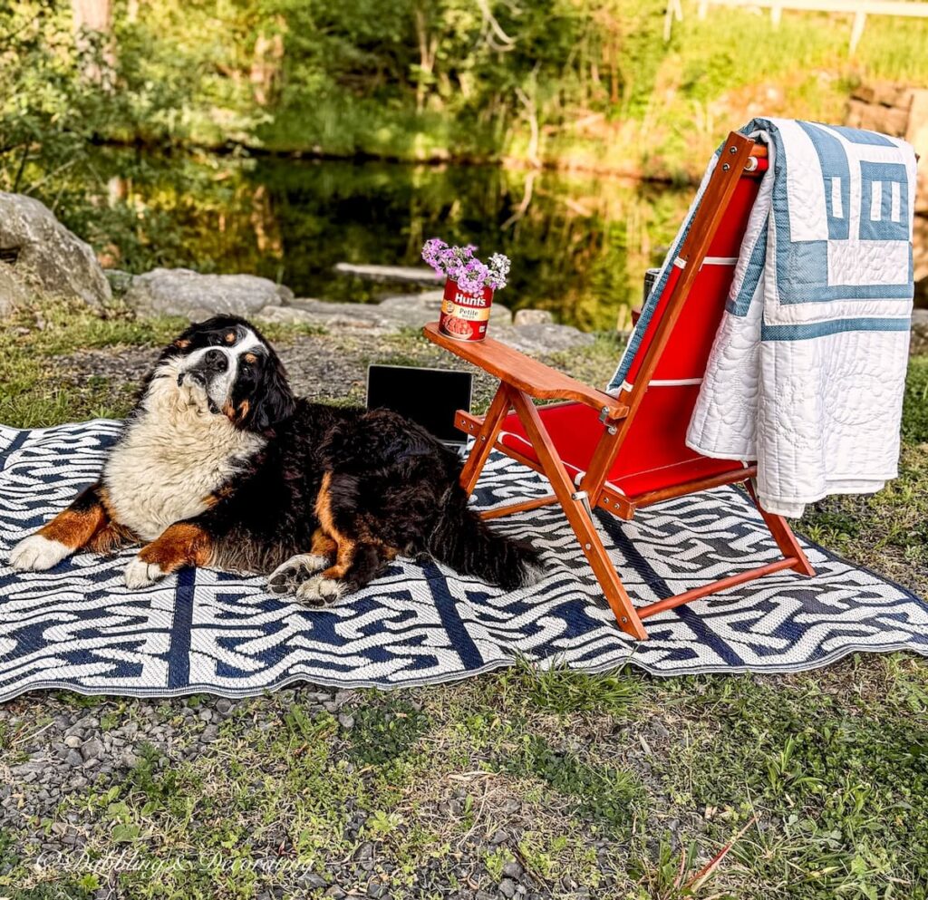 Outdoor sitting area while camping with a Bernese Mountain Dog lounging, a red teak chair with a blue and white Amish quilt thrown over the back in front of small stream while solo Rv boondocking.
