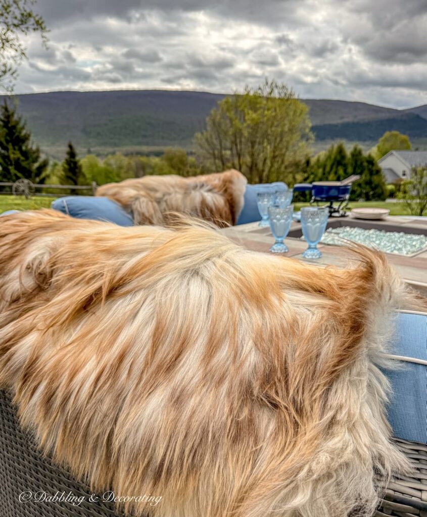Foxy colored British rare sheepskins draped over backyard fire pit sectional seating with mountain views in Vermont.