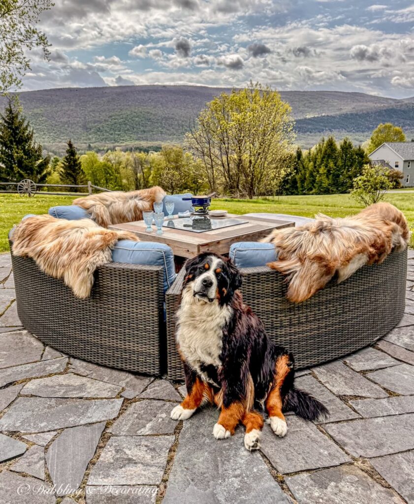 Backyard fire pit with patio with mountain views. Sectional seating draped with luxe sheepskins and a Bernese Mountain Dog posing.