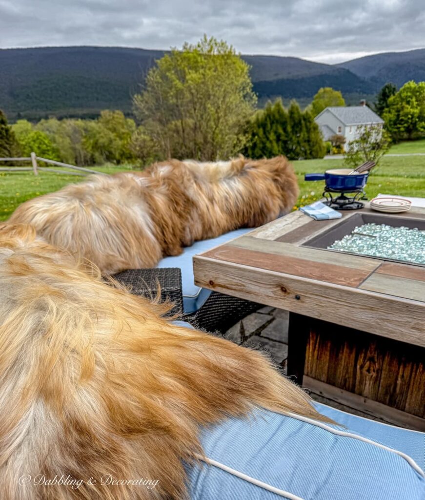 Backyard fire pit in the mountains of Vermont with rare sheepskins in foxy colors draped over the sectional seating with blue cushions. Are sheepskins worth it? Yes they are right here!