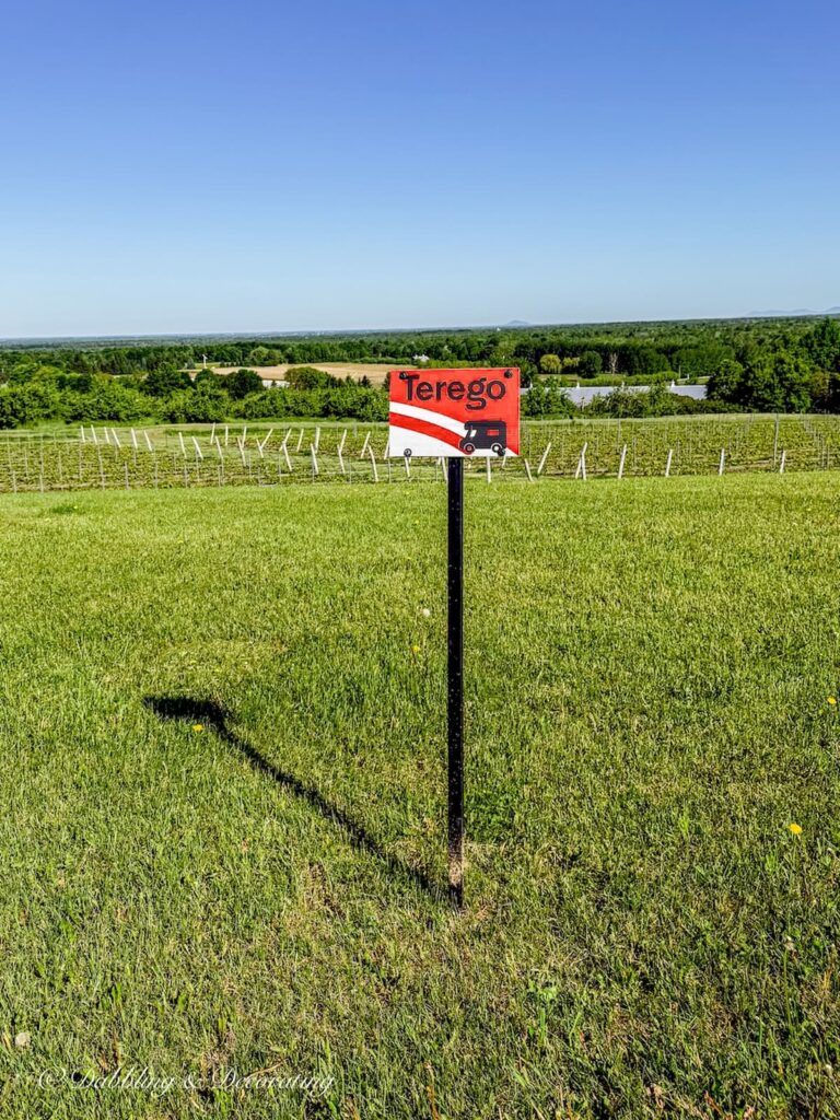 Terego staked sign on lawn on top of hill at Vignoble de l'Orpailleur in Dunham, Quebec.