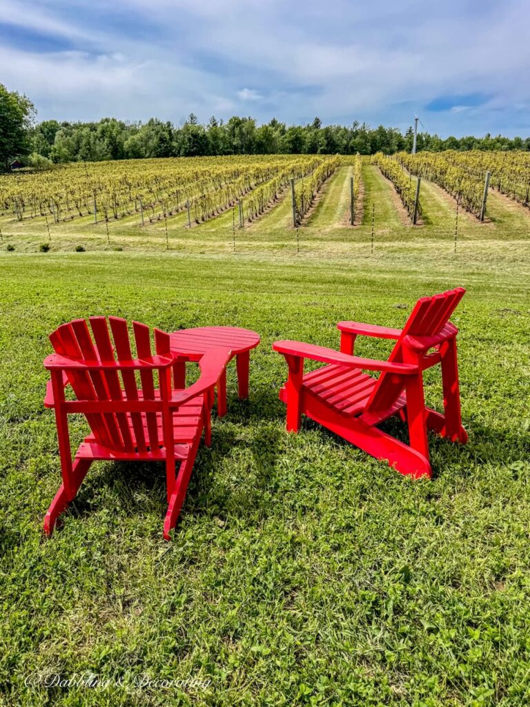 Two red Adirondack chairs and a table in front of the vineyard at  Vignoble Domaine Bresee, Sutton, Quebec.