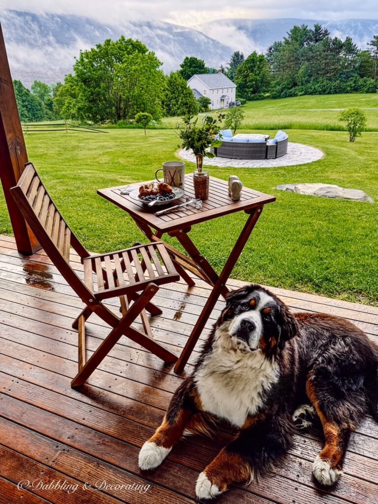 Bernese Mountain dog sitting next to a table for one set for breakfast on a covered porch with stormy mountain views.