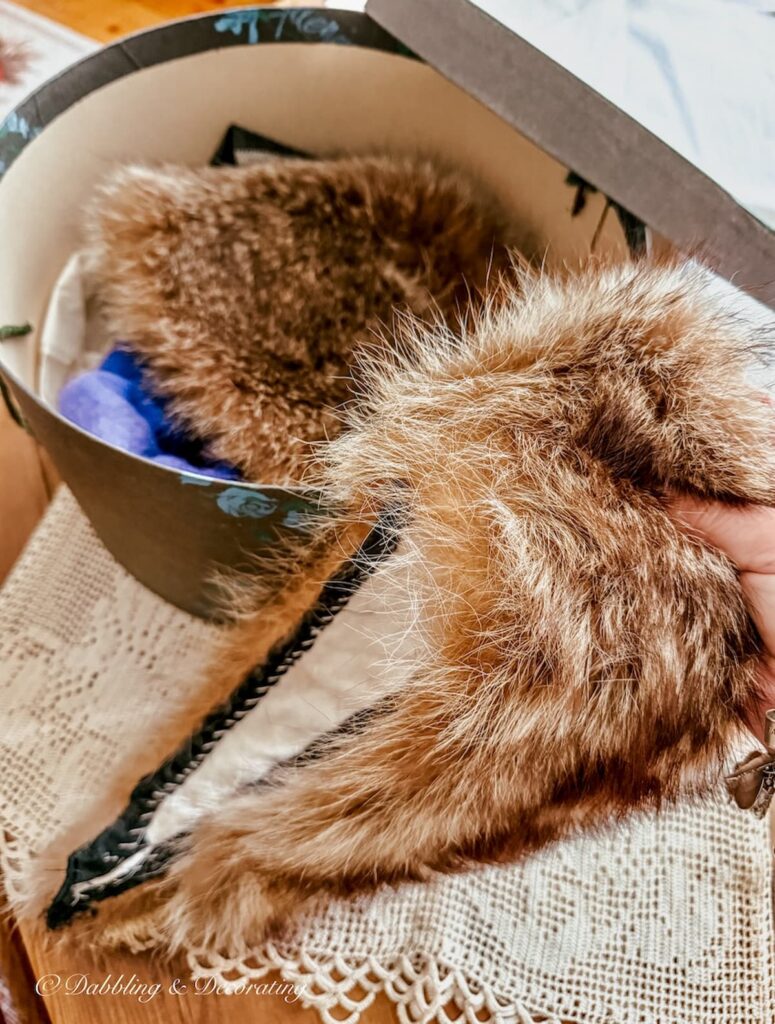 Antique raccoon collar in hand being placed inside a hat box with a vintage fur hat.