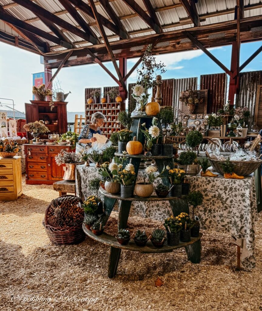 Fall vintage booth ideas using old tins, baskets and trophies with fall's pink hydrangeas, adding pumpkins and pinecones in the Fleurish vintage booth at Country Living Fair.