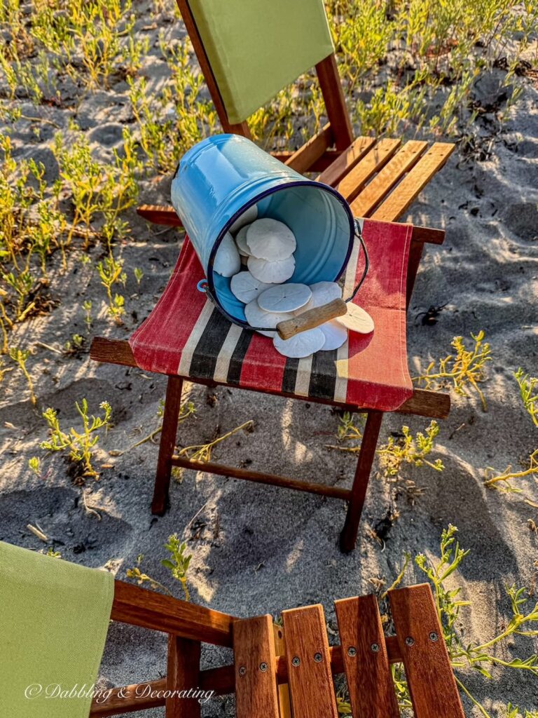 Blue enamel bucket spilt over with sand dollars on little red camp stool at the beach between two retro thrifted camp chairs.