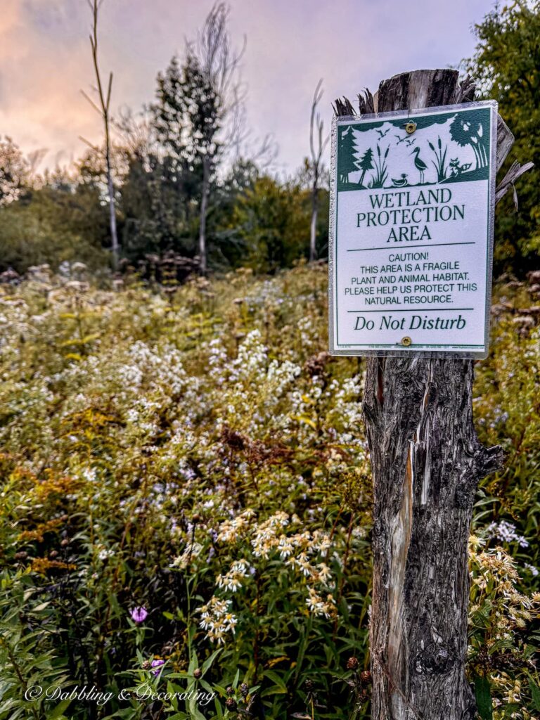 Wetland Protection Area at Smuggler's Notch Campground in Vermont.