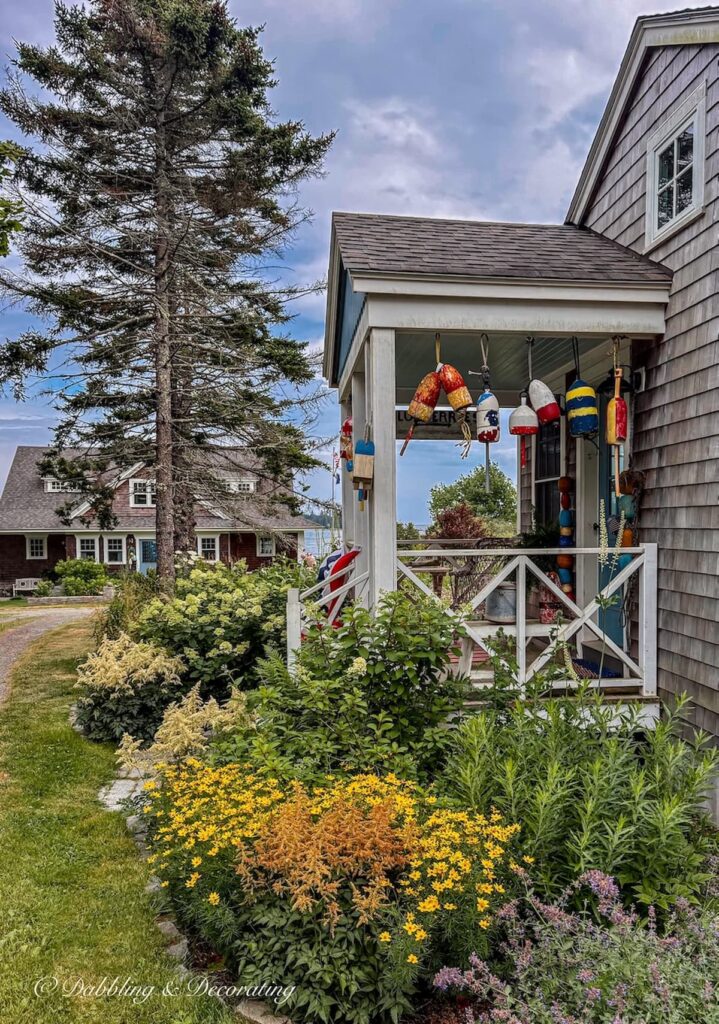 Coastal Guest Cottage in Maine in the summer time with lobster buoys and beautiful gardens.