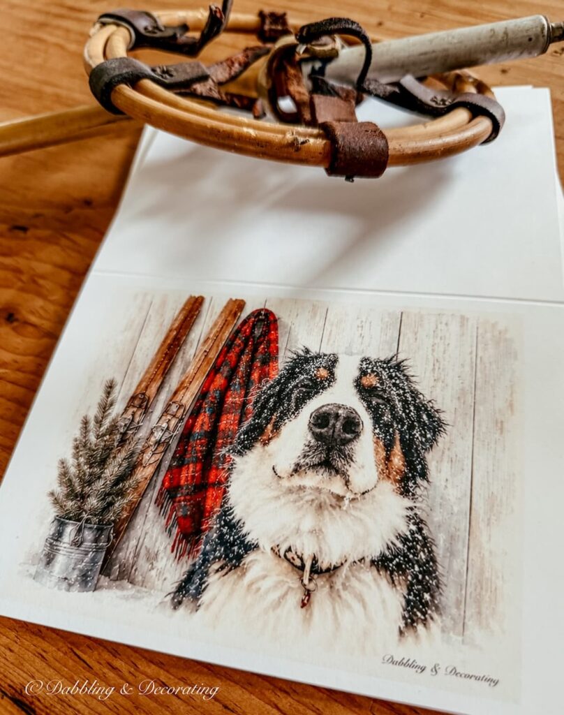 Winter Collection Notecard Printables with Bernese Mountain Dog and Red Scarf