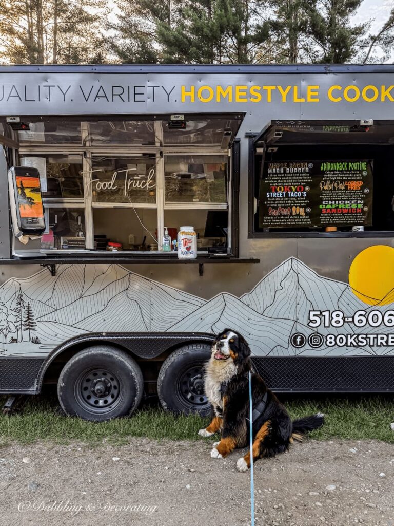 Bernese Mountain dog, Ella in front of a food truck at Hay Field's Antique store during Music, Munchies, and Motors Mondays