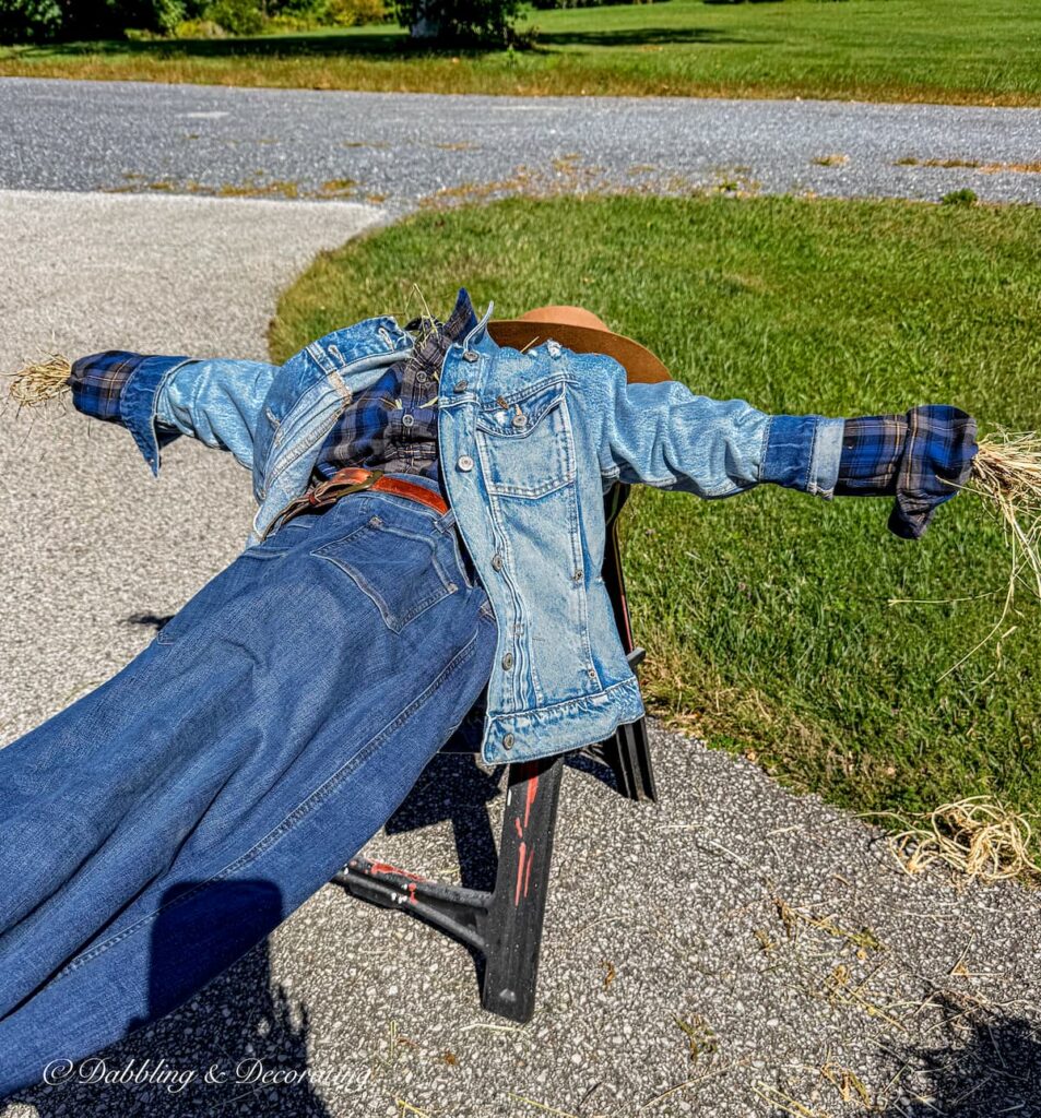 Fall scarecrow layered in blue jeans laid out on saw horses in driveway for dressing and stuffing.