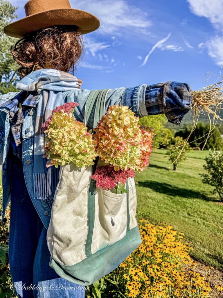 Fall scarecrow standing tall with a canvas bag of picked fall hydrangeas layered in blue denim.
