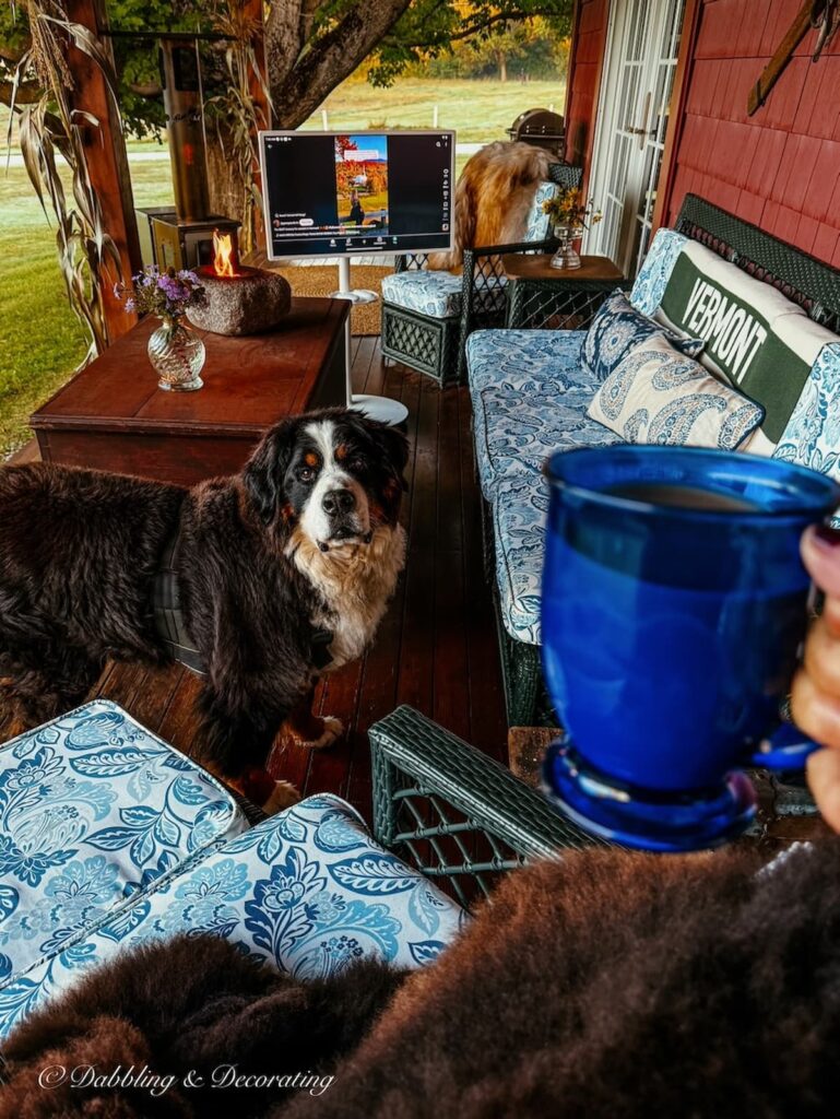 Colorful fall porch with Bernese Mountain Dog, tabletop fire, portable tv and all weather wicker furniture and blue coffee mug cheering to the seasonal porch.