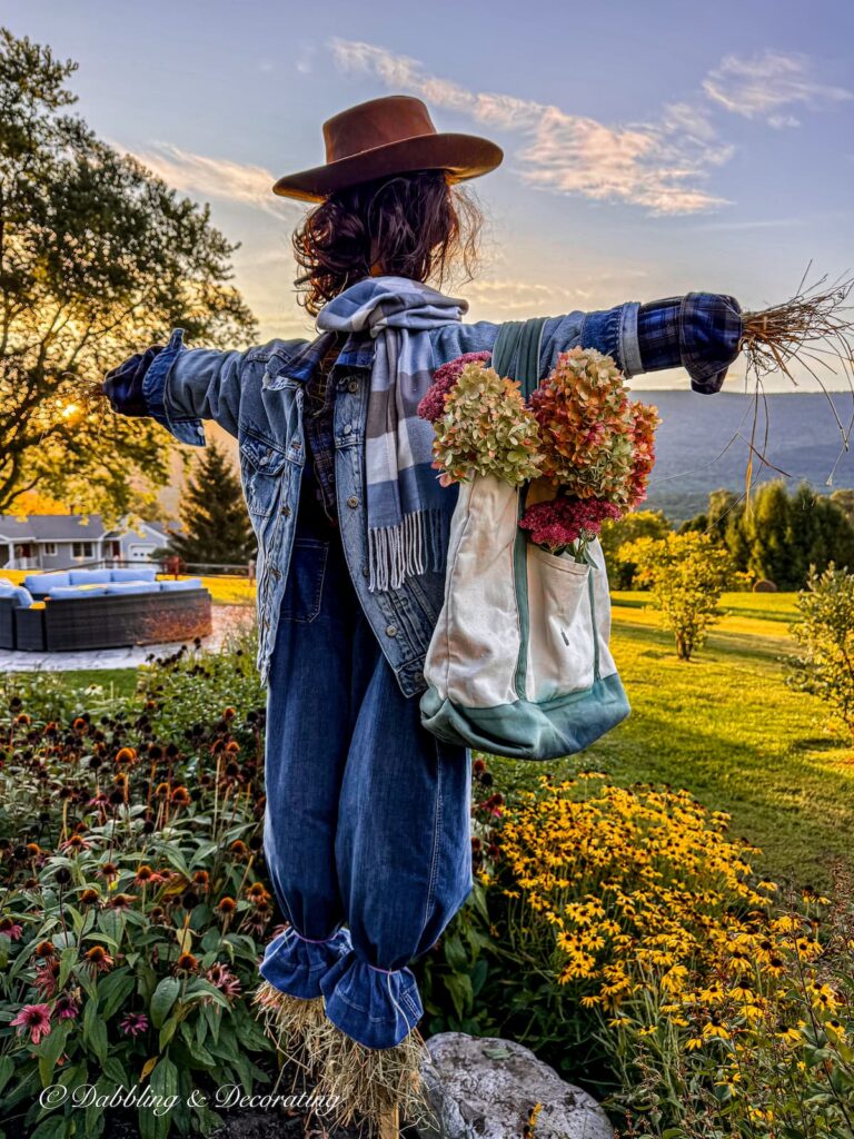 Fall scarecrow in fall garden with picked blooms in a bag on her arm dressed in layers of blue and denim in the Vermont mountains during sunrise.