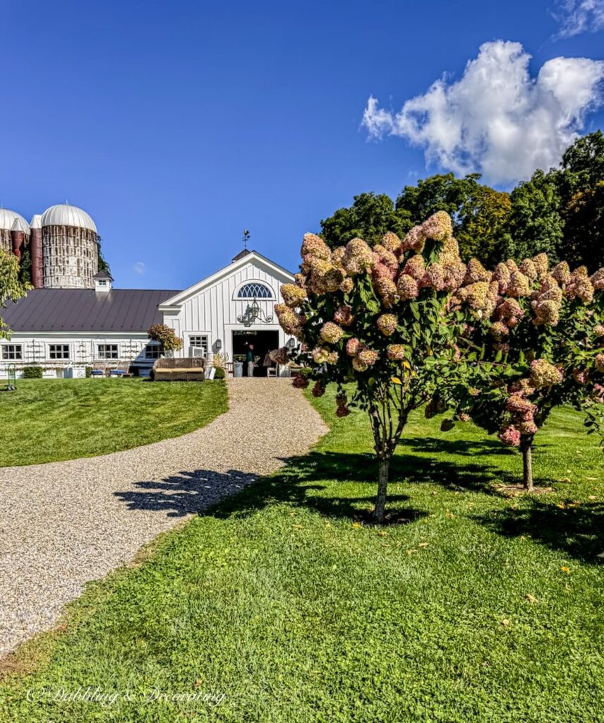 Clover Brook Farm tag sale in Millbrook, New York.