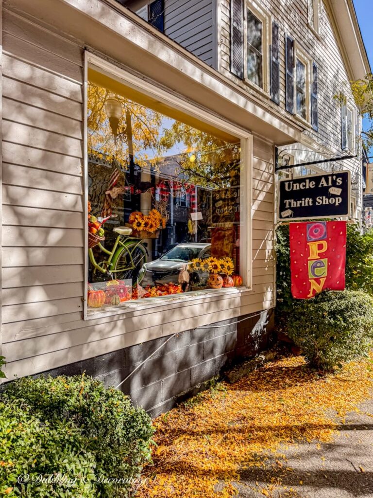 Thrift Store in downtown MillBrook, NY.